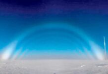 Reňksiz älemgoşar