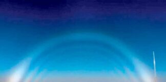 Reňksiz älemgoşar