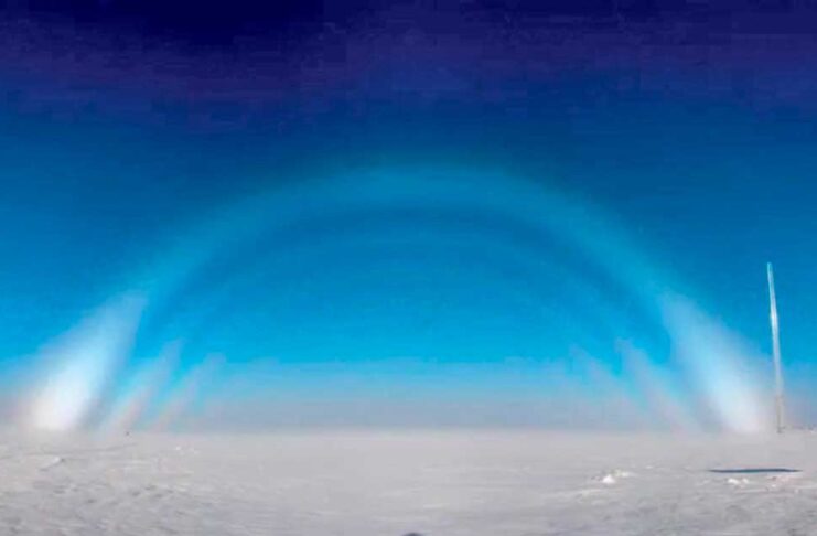 Reňksiz älemgoşar