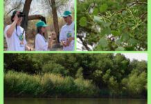 Для молодёжи Туркменистана провели двухдневный эко тур