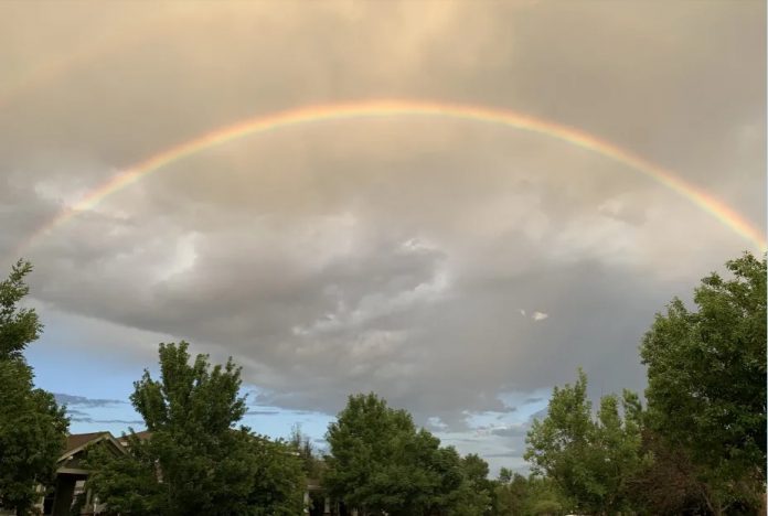 rainbow alemgoshar gokkusagi