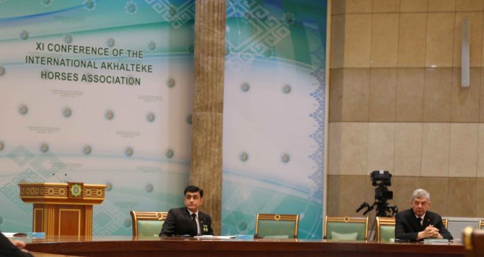akhalteke-assosiation-international-ahal-teke-at