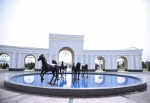 Turkmenistan will participate in international competitions in Tashkent