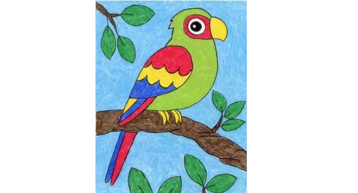 parrot