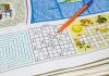 Halkara sudoku güni