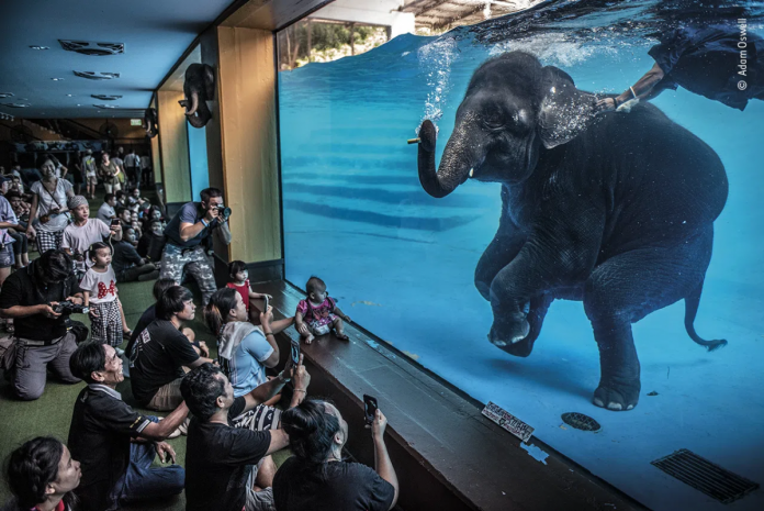 wild life photography 2021