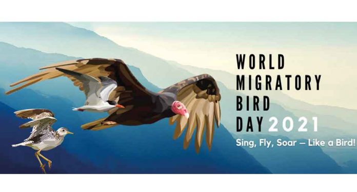 world-migratory-bird-day-2021-halkara-gushlar-guni-butindunya