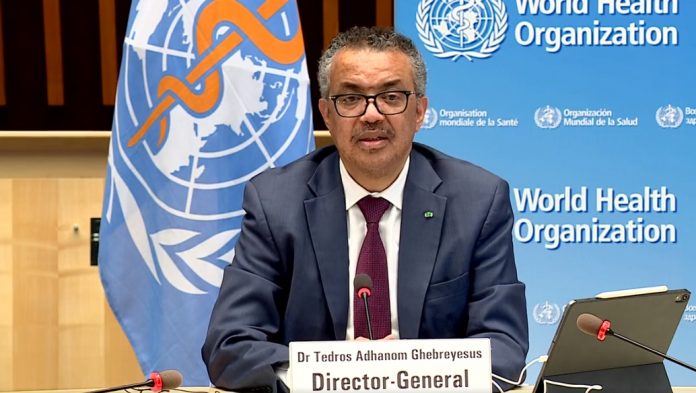 who general director gabeylesesus