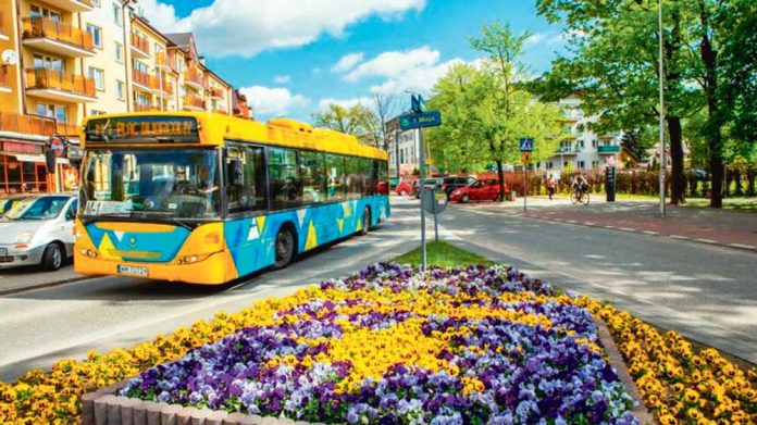 Minsk-Mazoweski-free-city-bus