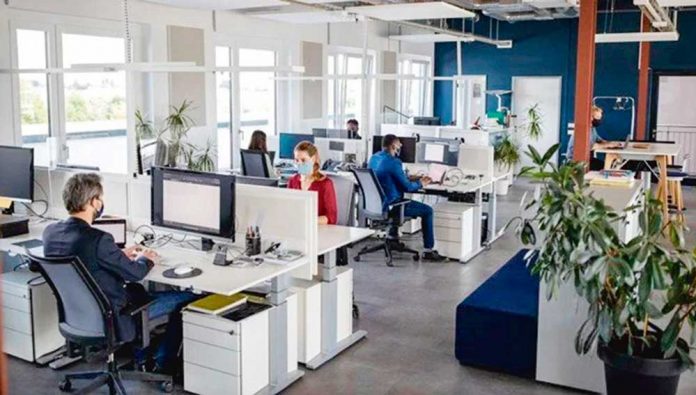 office-belgium-pandemic-covid-work-job