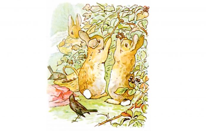 rabbit-family-story-fable