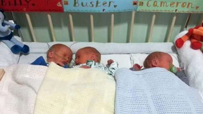 triplets babies uçem babekler