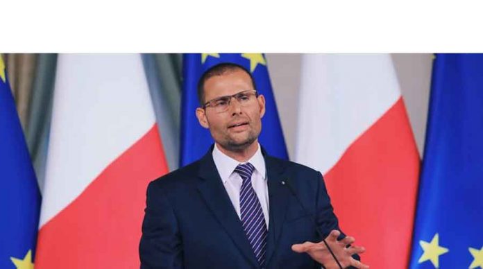 malta-Zähmet-partiýasy
