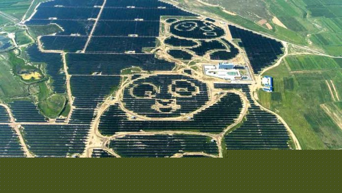 solar-farm--panda