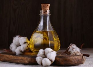 Daşoguz welaýatynda ösümlik ýag kärhanasy gurlar
