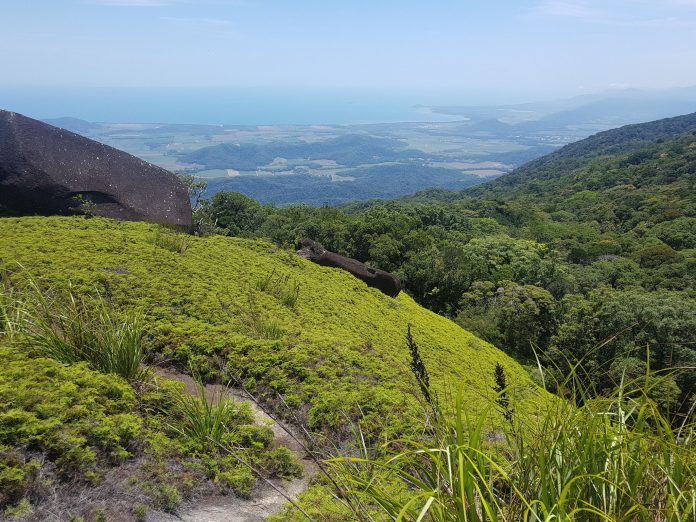 daintree national park tebigat