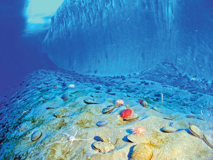 Underwater_south-pole-antarctica