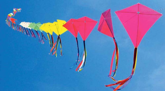 batborek-ucurtma-kite