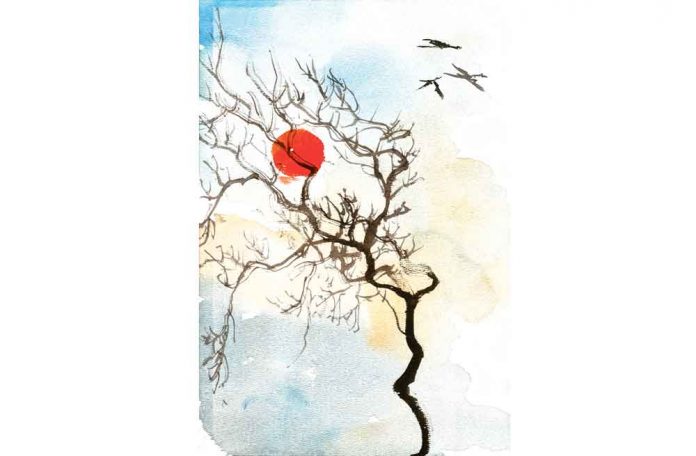 lonely-tree