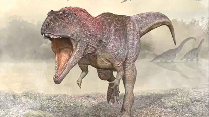 Dinozawr