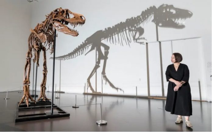 dynozaur skeleton sothebys