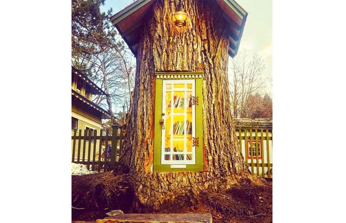 library-in-ol-tree
