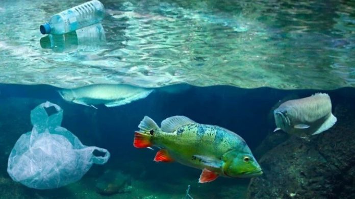 robot fish plastic