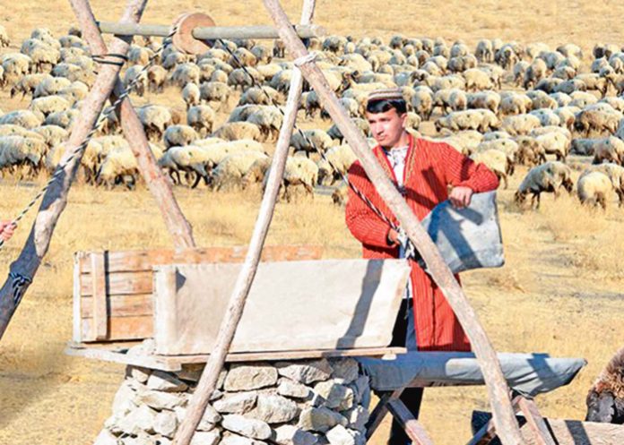 suw-guyy-col-turkmen-goyun