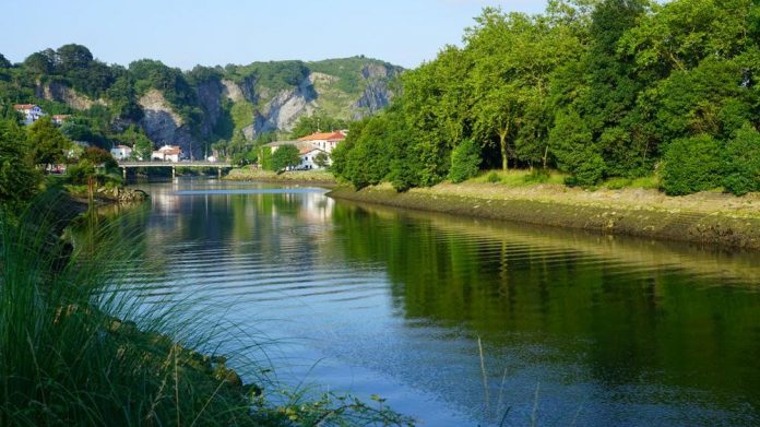Faisans island france spain