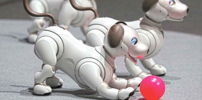 abio-robot-toy