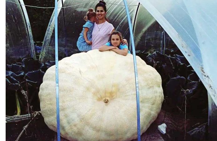 biggest-tykwa-kadi-kabar
