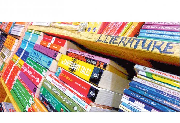 books-books-shelf-library-kitap