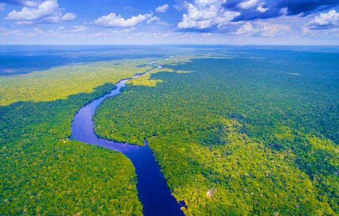 amazon rain forest river Untitled