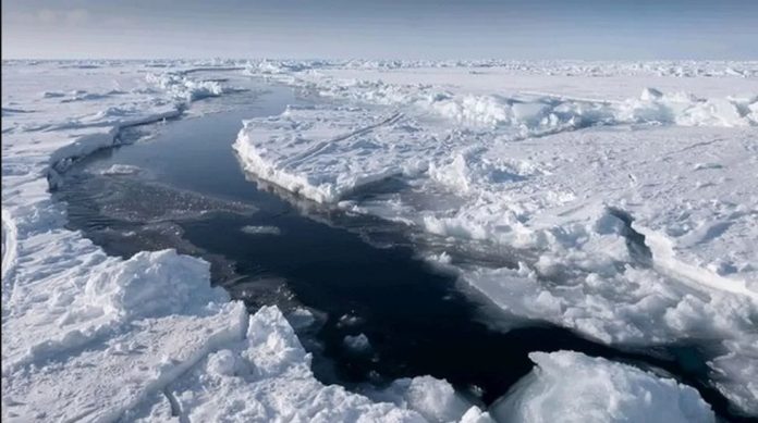 arctic