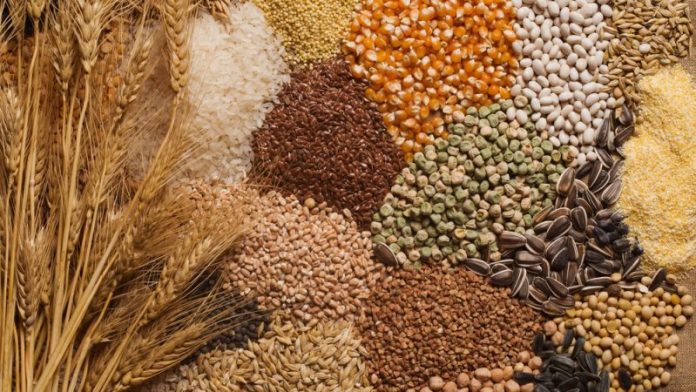 azyk food grain