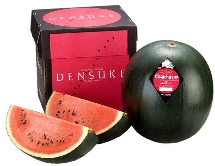 densuke garpyz watermelan japan