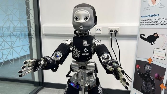 robot dd