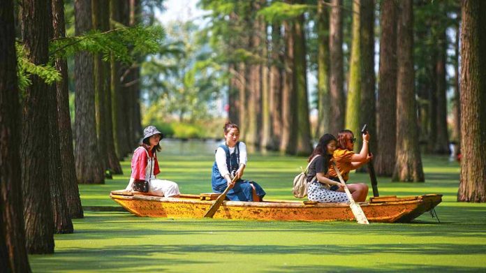 water-park-in-forest-china