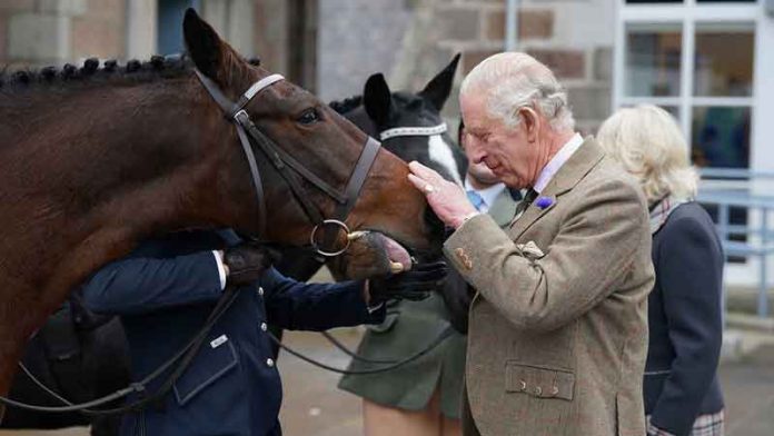 chales-3-iii-uk-king