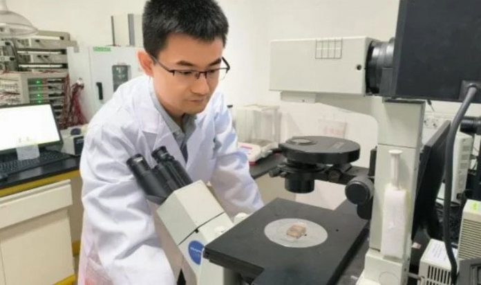robot-laboratory-glas-linza-lens