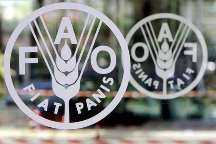 Food-and-Agriculture-Organisation-FAO