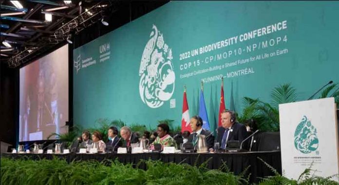 cop15-2022-biodiversity-canada-montreal-humming