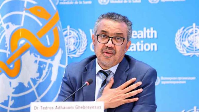 dr-theodor-ghabriesusu-who-president-BSGG