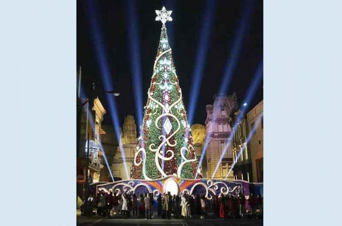 guinnes-world-record-tree-10116047