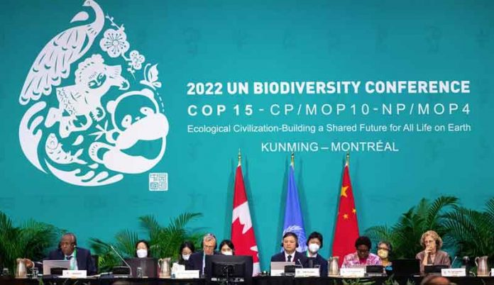 kunming-montreal-cop15-biodiversity