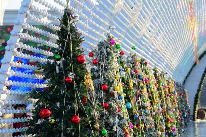 new-year-tree-taze-yyl-arca