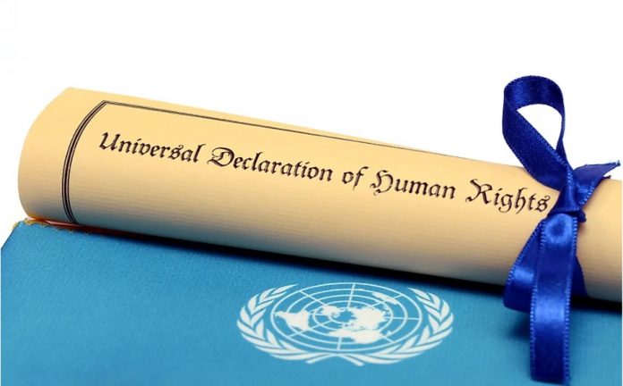 universal declaration of human rights un uno bmg
