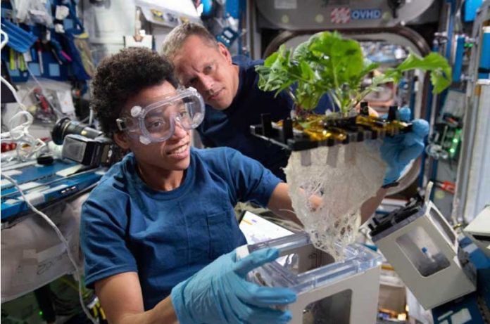 Jessica-Watkins-ve-Bob-Hines,iss-space-2022-ss