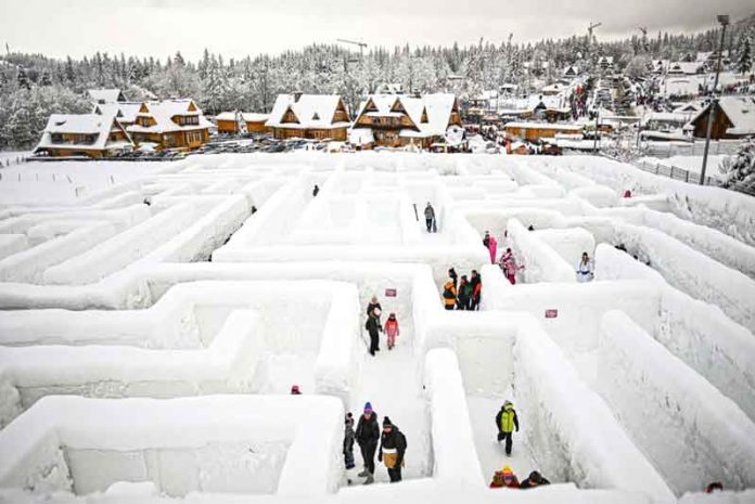 biggest-maze-lanbirent