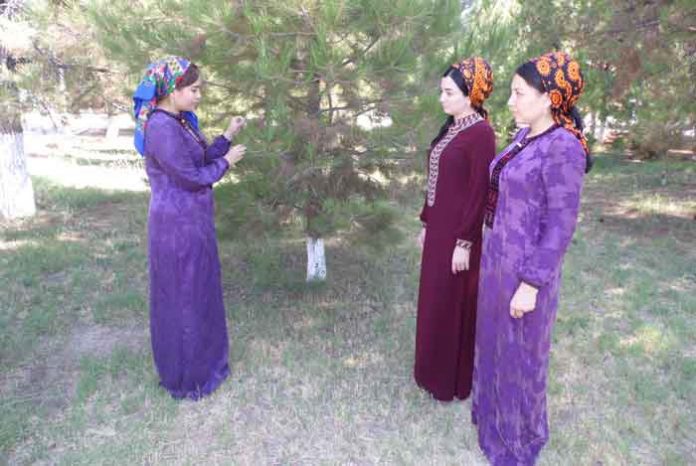 lebap-welayat-tebigaty-goramak-agac-bag-nahal-SAM_0254